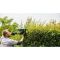 Кущоріз електричний Bosch AdvancedHedgeCut 65 (06008C0801)