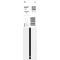 Біта Bosch Pro Torx Impact T25, 150 мм (2608522539)