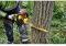 Пила ланцюгова акумуляторна безщіткова DeWALT DCMCS574X1