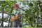 Пила ланцюгова акумуляторна безщіткова DeWALT DCMCS575N