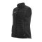 Жилет FORCE GILET DeWALT DWC50-013-L